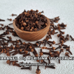 Karanfil Diş Ağrısına İyi Gelir mi?