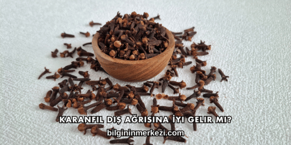 Karanfil Diş Ağrısına İyi Gelir mi?