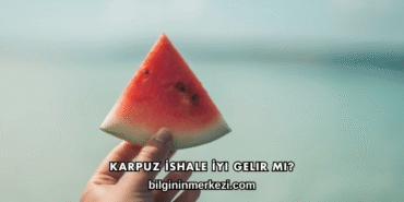 Karpuz İshale İyi Gelir mi?