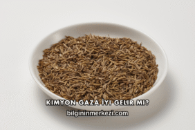 Kimyon Gaza İyi Gelir mi?
