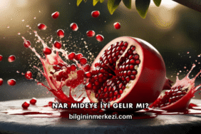 Nar Mideye İyi Gelir mi?