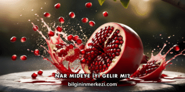 Nar Mideye İyi Gelir mi?