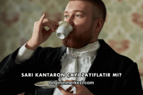 Sarı Kantaron Çayı Zayıflatır mı?