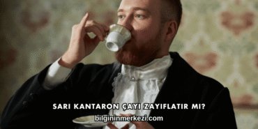 Sarı Kantaron Çayı Zayıflatır mı?