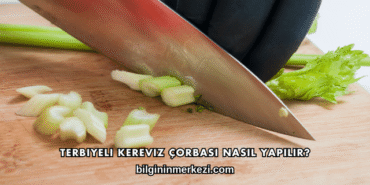 Terbiyeli Kereviz Çorbası Nasıl Yapılır?