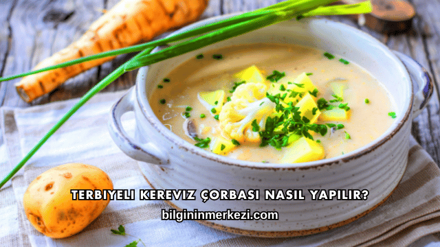 Terbiyeli Kereviz Çorbası Nasıl Yapılır?