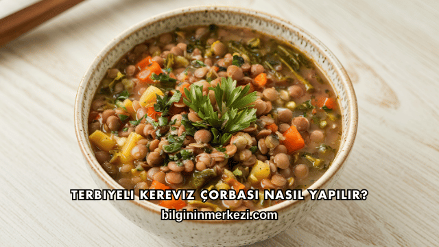 Terbiyeli Kereviz Çorbası Nasıl Yapılır?